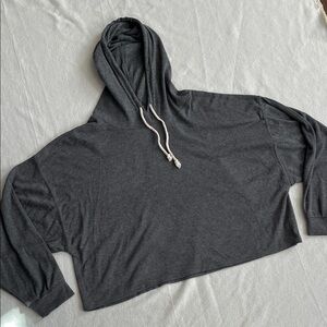 Carly Jean Los Angeles- Gray semi- cropped Hooded Sweatshirt